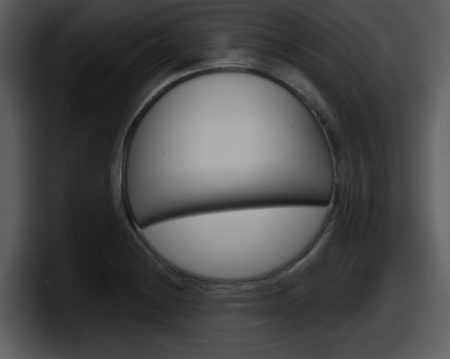 X0000098091228200804040720