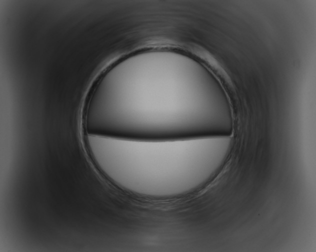 X0000098091229200804040720