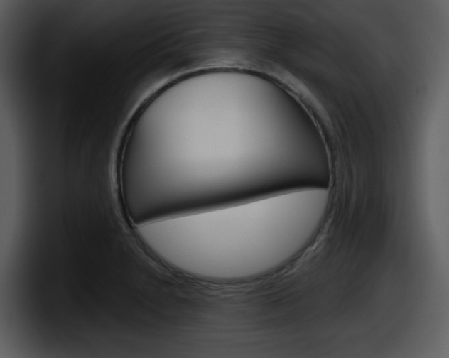 X0000098091230200804040720
