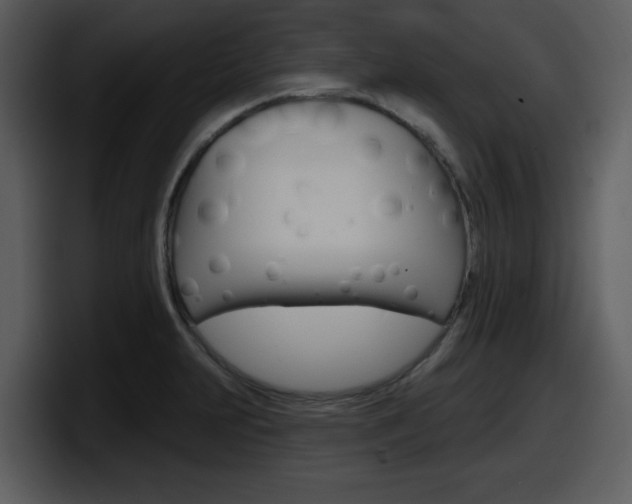 X0000098091231200804040720