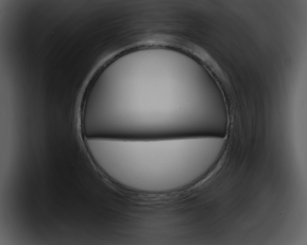X0000098091232200804040720