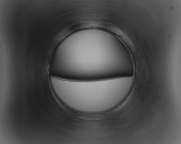 X0000098091233200804040720