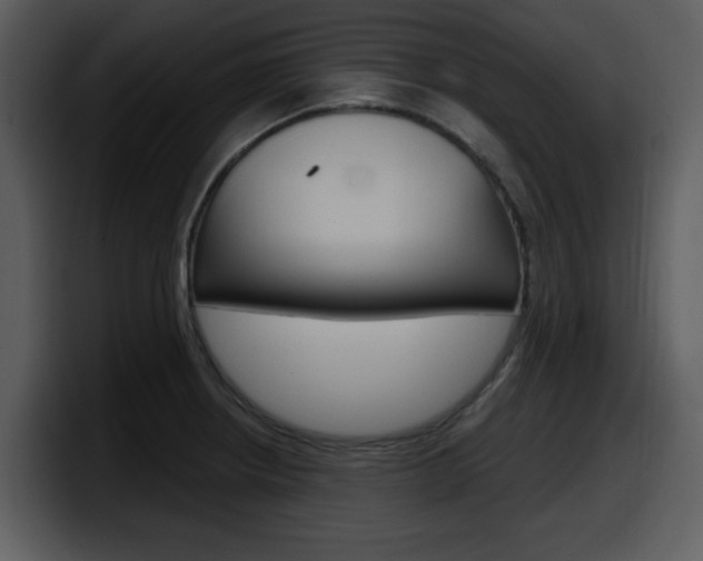 X0000098091234200804040720