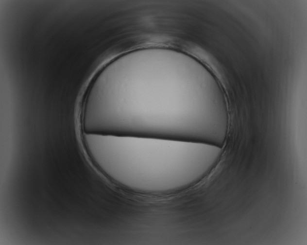 X0000098091235200804040720