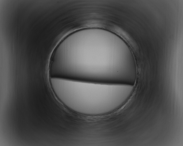 X0000098091236200804040720