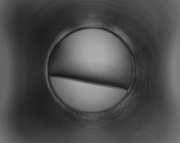 X0000098091237200804040720