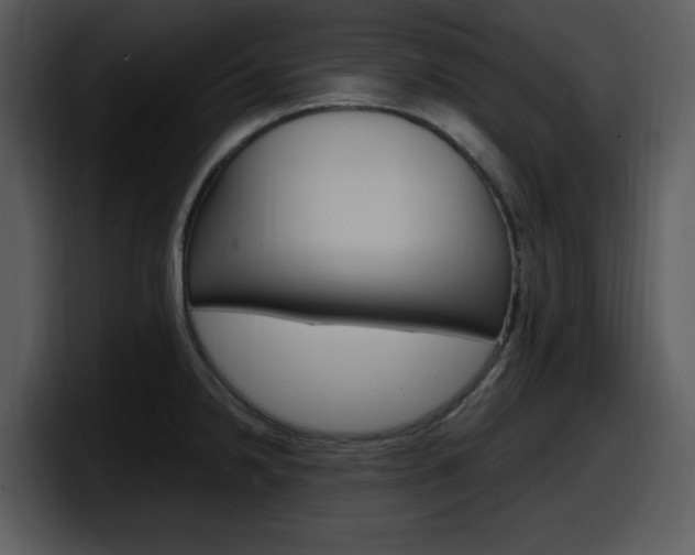 X0000098091238200804040720