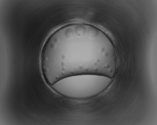 X0000098091239200804040720
