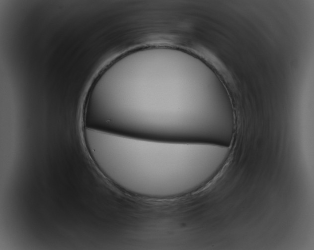 X0000098091240200804040720