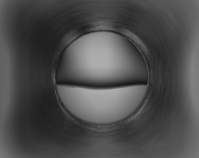 X0000098091241200804040720