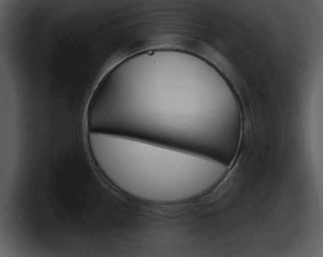 X0000098091242200804040720