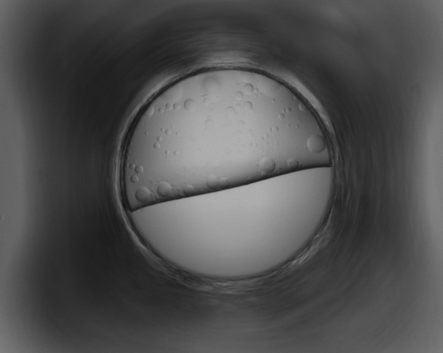 X0000098091245200804040720