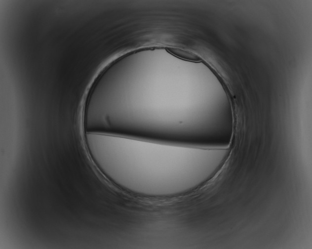 X0000098091246200804040720