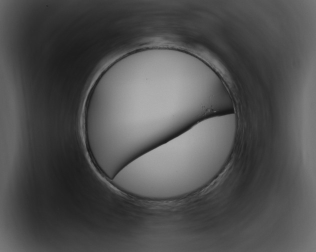 X0000098091247200804040720