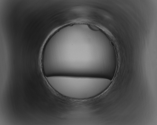 X0000098091248200804040720