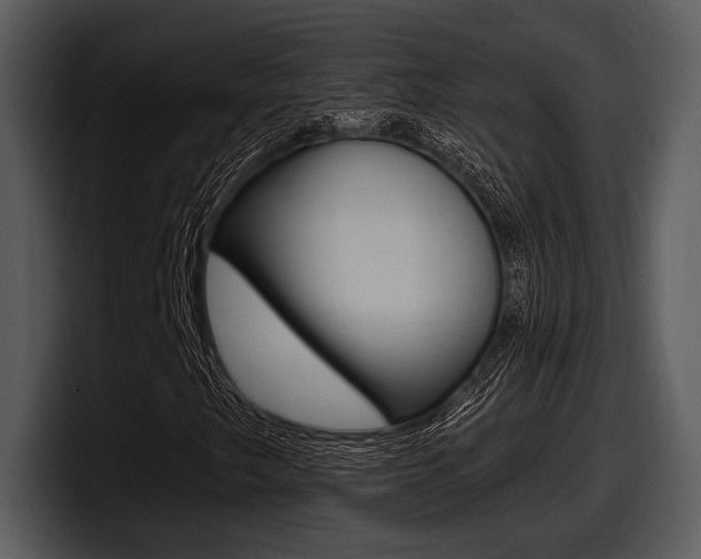 X0000098091249200804040719