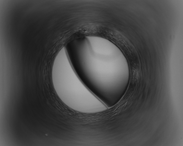 X0000098091250200804040719