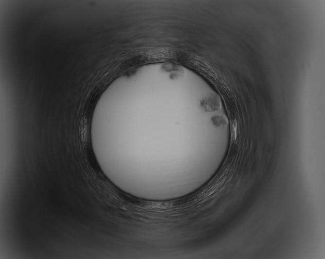 X0000098091251200804040719