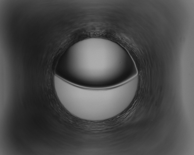 X0000098091252200804040719