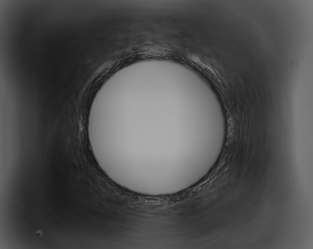 X0000098091254200804040719