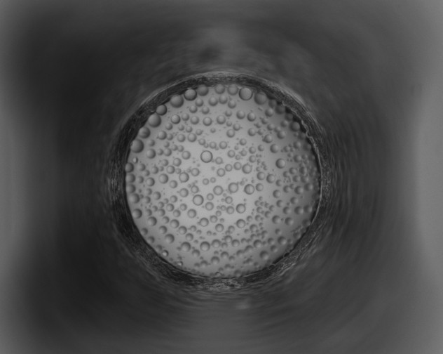 X0000098091255200804040719