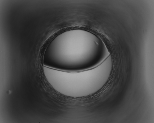 X0000098091256200804040719