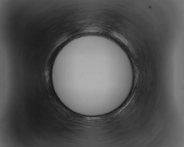X0000098091258200804040719