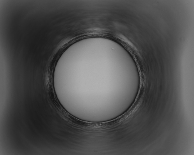 X0000098091259200804040719