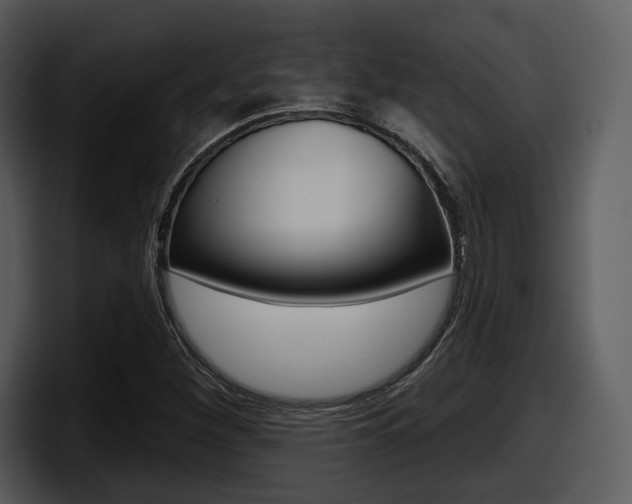 X0000098091260200804040719