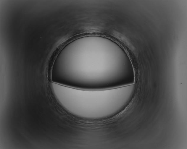 X0000098091261200804040719