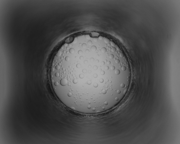 X0000098091263200804040719