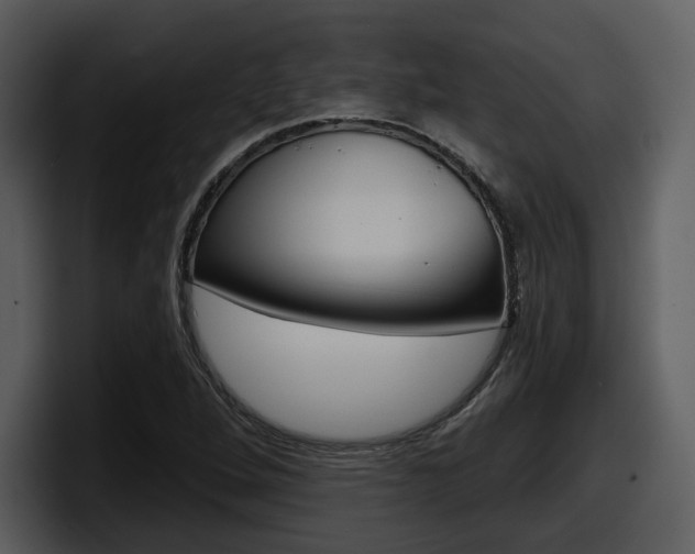 X0000098091264200804040719
