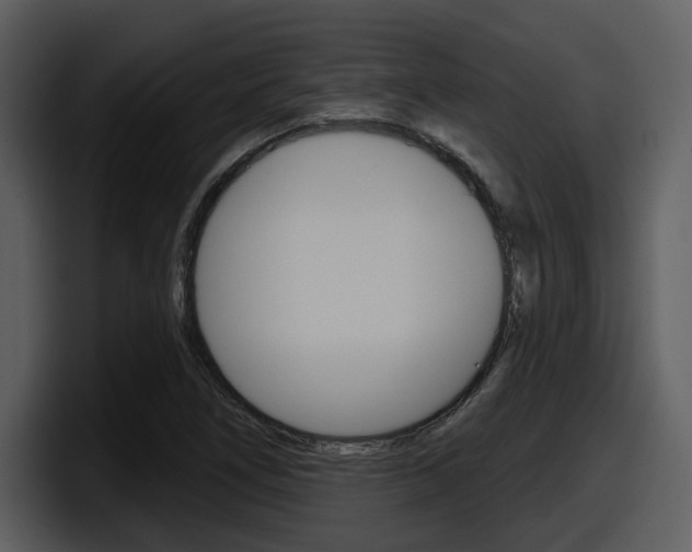 X0000098091266200804040719