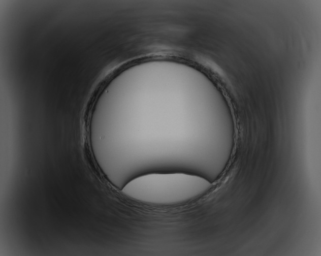 X0000098091267200804040719