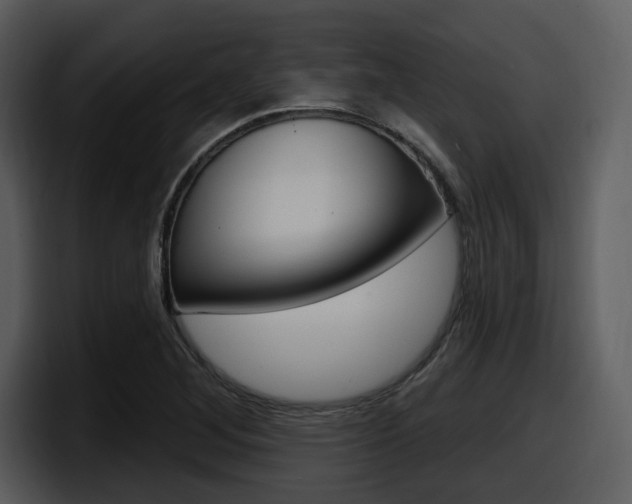 X0000098091268200804040719