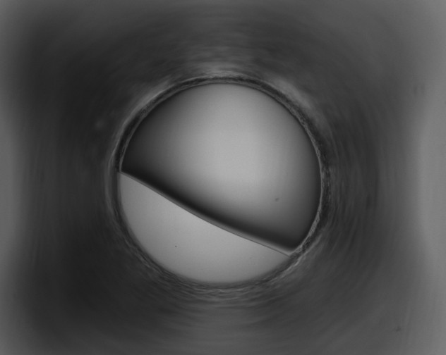 X0000098091269200804040719