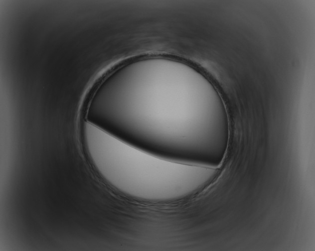 X0000098091270200804040719