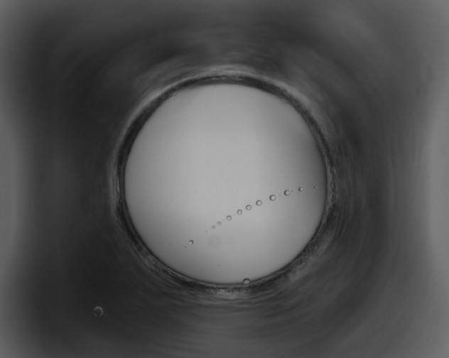X0000098091271200804040719
