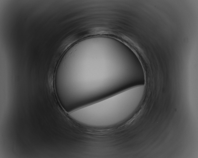 X0000098091273200804040719