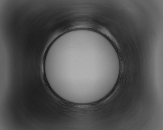 X0000098091274200804040719