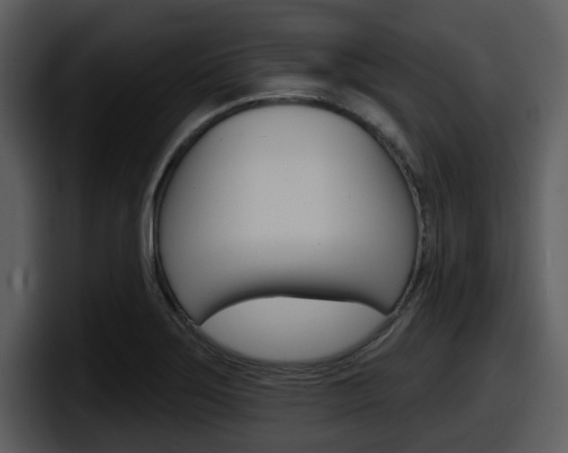 X0000098091275200804040719