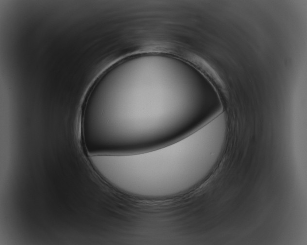 X0000098091276200804040719