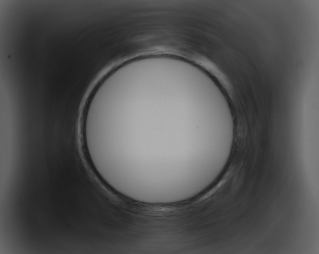 X0000098091278200804040719