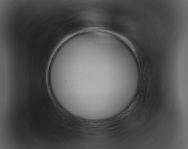 X0000098091279200804040719