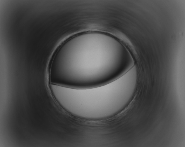 X0000098091280200804040719