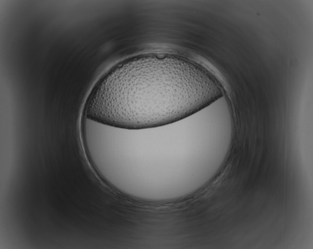 X0000098091283200804040719