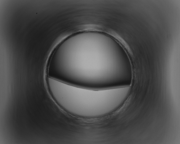 X0000098091285200804040719