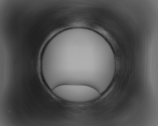 X0000098091286200804040719
