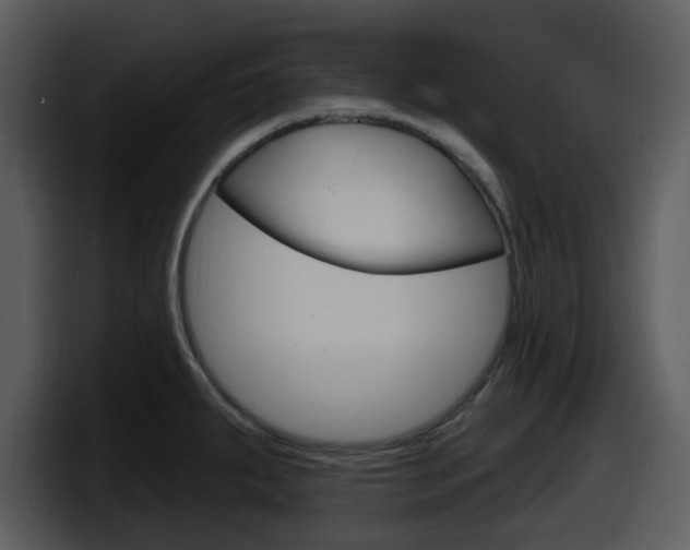 X0000098091287200804040719
