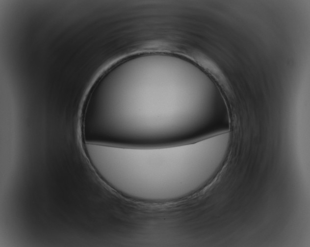 X0000098091288200804040719